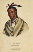 A-Mis-Quam: McKenney & Hall 1854