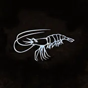 Shrimp — Central Sheet Metal and Steel