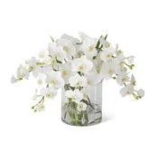 16″ White Orchid Flowers in Glass Vase