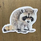 Baby Raccoon Vinyl STICKER