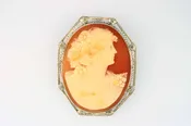 Cameo Pin/Pendant 20287