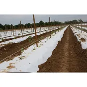 1.25 Mil WHITE ON BLACK Embossed Plastic Mulch