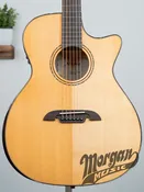 Alvarez AEG80ce Armrest