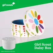 Girl Scout Daisy Box