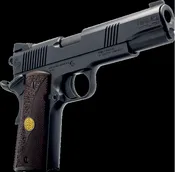 1911 Black .45 acp BB
