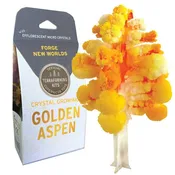 Crystal Growing Aspen | 
Craft Kit Science Kit Fall Craft