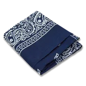 Paisley Bandana