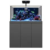 185 Gallon Coral Reef Aquarium Fish Tank Complete Set including Two Coral lights & one Protein Skimmer