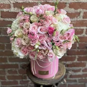 Jolie - Buzzy Bee Flowers