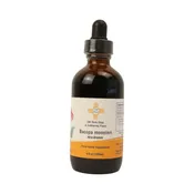 Bacopa monnieri Extract