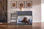 Aspen Pet Bunk Bed