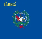 2nd South Carolina Regiment Flag