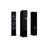 Black 2.5-Way Floorstanding Speaker