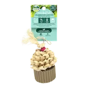 Enriched Life – Celebration Cupcake