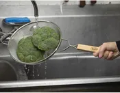 10.25" single medium mesh strainer wood handle