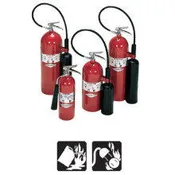 Amerex Carbon Dioxide CO2 Extinguisher
