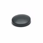 #30 SHELLS WAXED