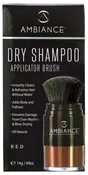 Ambiance Dry Shampoo- Red Brush