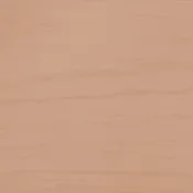 2106-40 Cougar Brown WOODLUXE Semi-Transparent Exterior Color