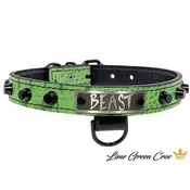 1" Wide Leather Dog Collar with Studs and Name Plate