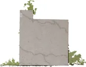 Anya Quartz Calacatta Vesuvio (3CM)- 42×33