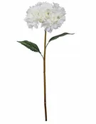 26.5" Cream Hydrangea Stem
