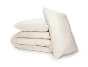 All-Season Wool Comforter + Pillow Set