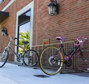 Walnut Bike Rack
