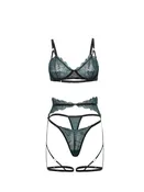 Anita Embroidered 3-Piece Bra Set