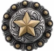 Western Star Slide