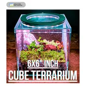 All Inclusive DIY Tiny Vivarium Starter Kit - This 6x6 Inch Complete Bioactive Ecosystem for Home and Office Decor