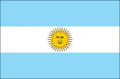 ARGENTINA NYLON PRINT FLAG - 3x5