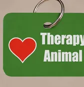 Dog Tag - Therapy Dog