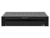 BasX A1 Monoblock Power Amplifier