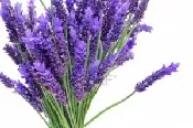 Anti-stress Lavender Peel Off Mask-  Indian Chestnut &amp;amp; Rosemary