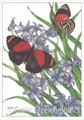 AN805 Figure 8 Butterfly Notecard