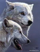Al Agnew Arctic Wolves