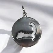 Sterling Silver Map Disc