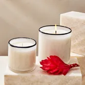 15.5 oz. Champagne Classic Candle