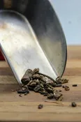 Black Cohosh