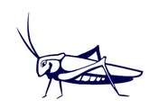 Katydid On-Line Gift Card