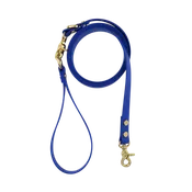 Dog Leash Northern Blue