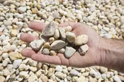 3/4 Gravel