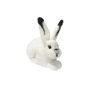 Arctic Hare