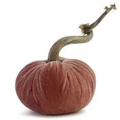 5"Blush Pumpkin