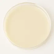 7% Salt Agar Plate 10/pk
