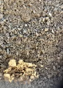 2A Modified Stone
