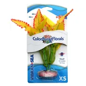 CB-161-YW – Vibran-Sea® Color Burst Florals® Ferndale