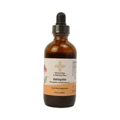 Astragalus (Astragalus membranaceus) Extract