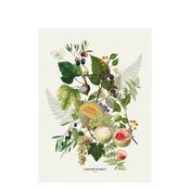 Abondance D'automne Kitchen Towel
